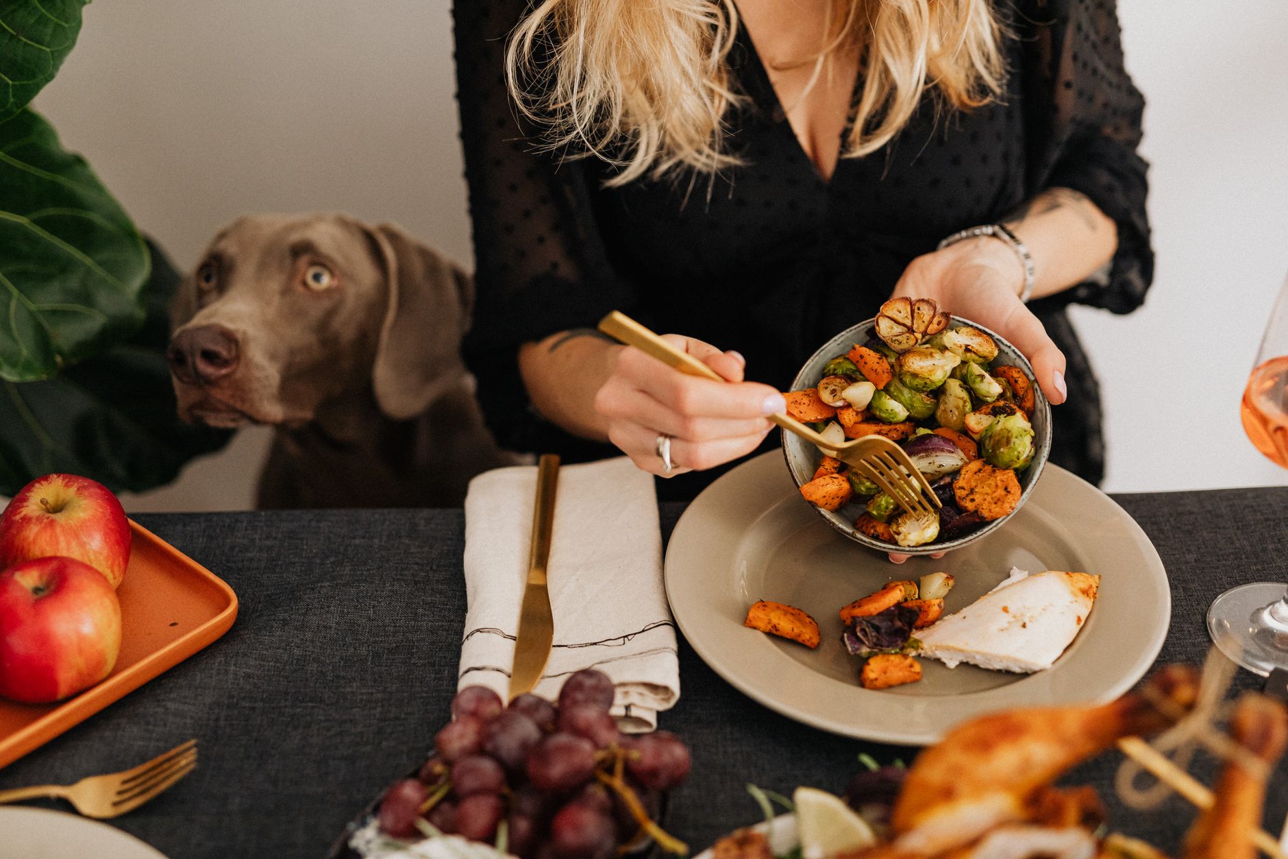 dog bowls lifestyle photo