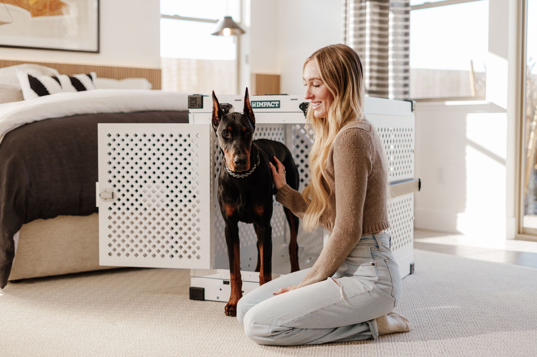 dog crates lifestyle photo