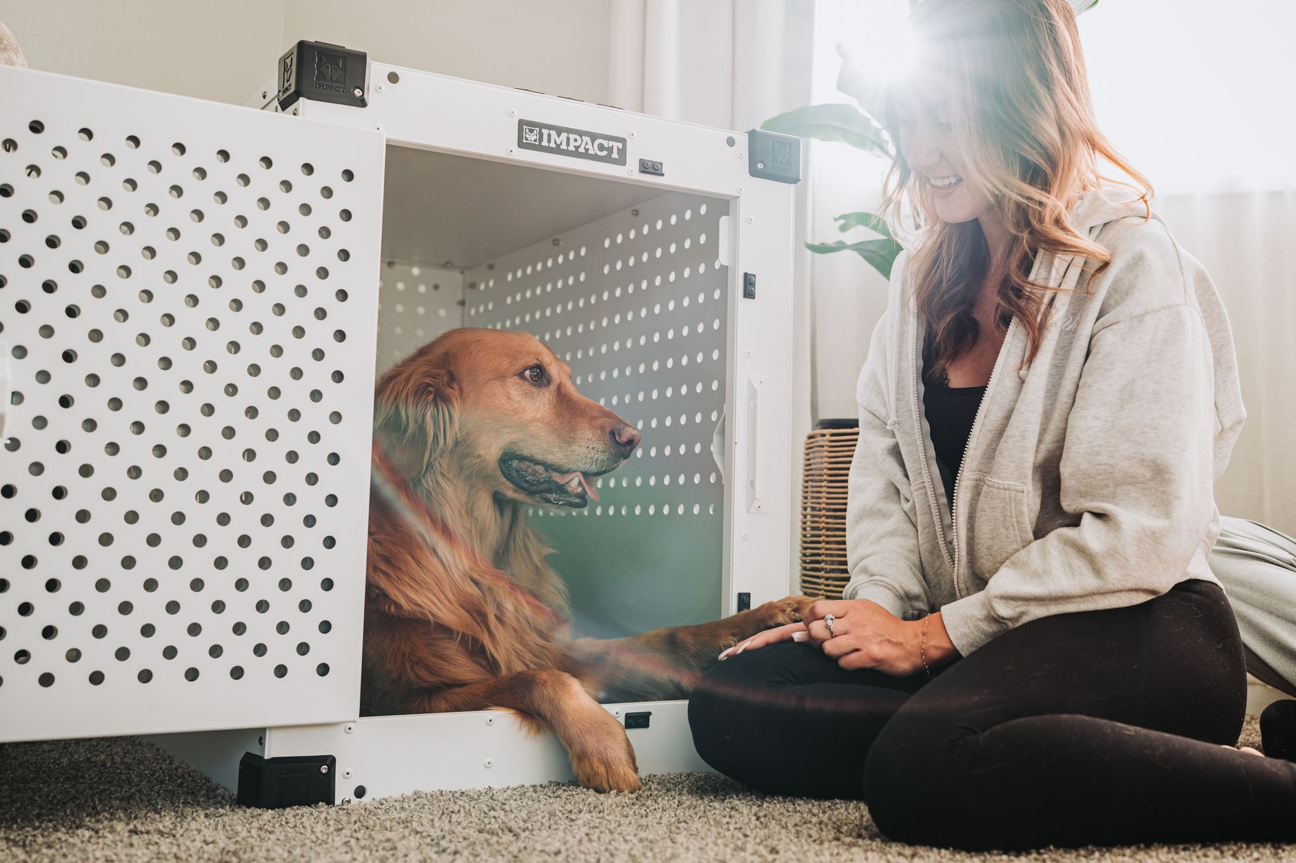 dog crates lifestyle photo