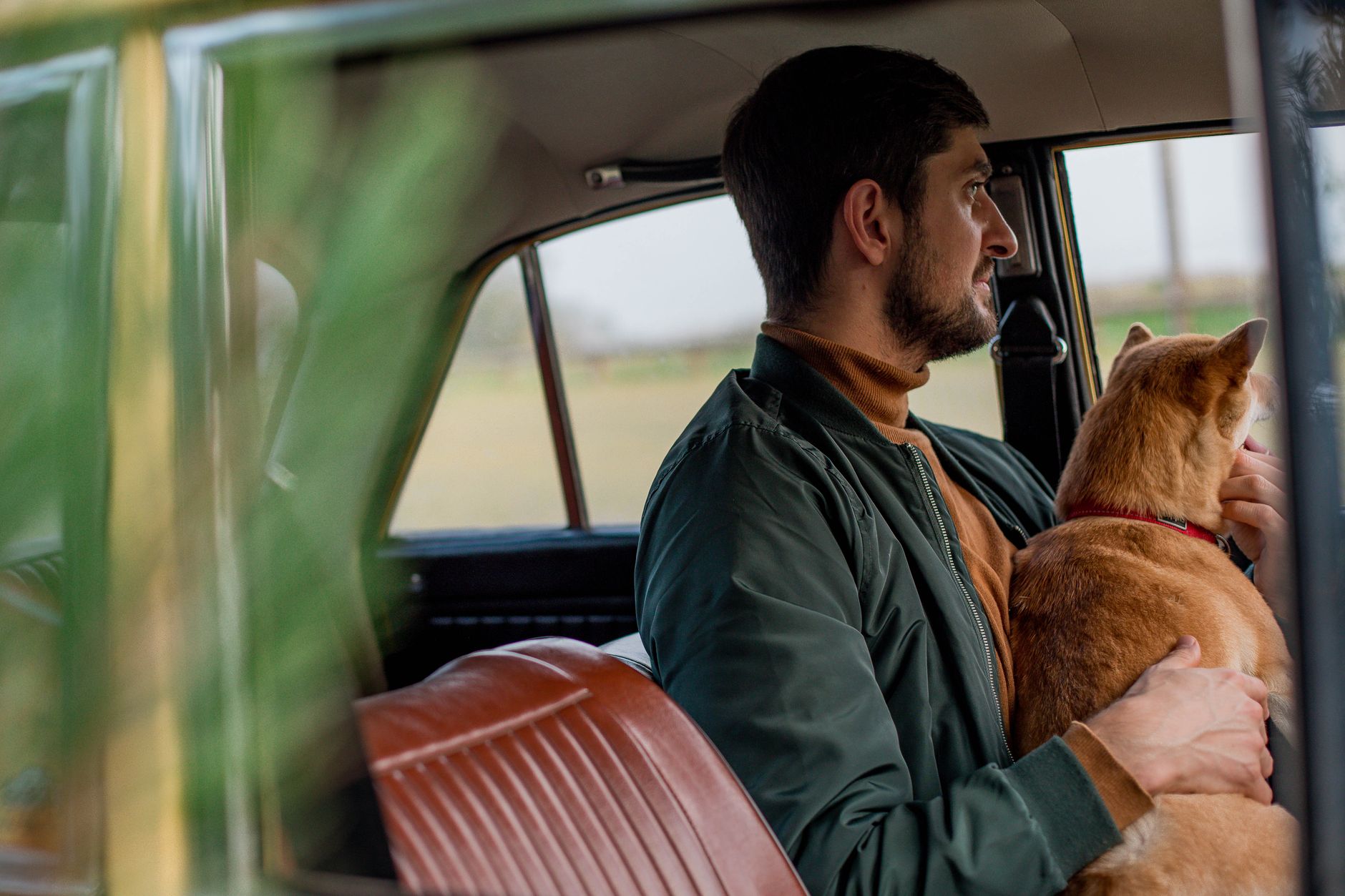 dog travel lifestyle photo