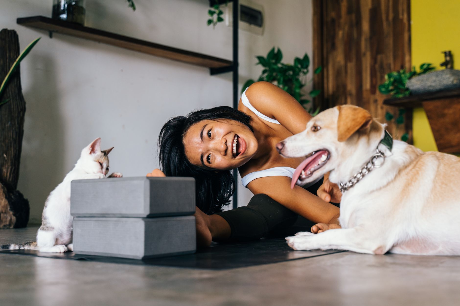 misc pet lifestyle photo