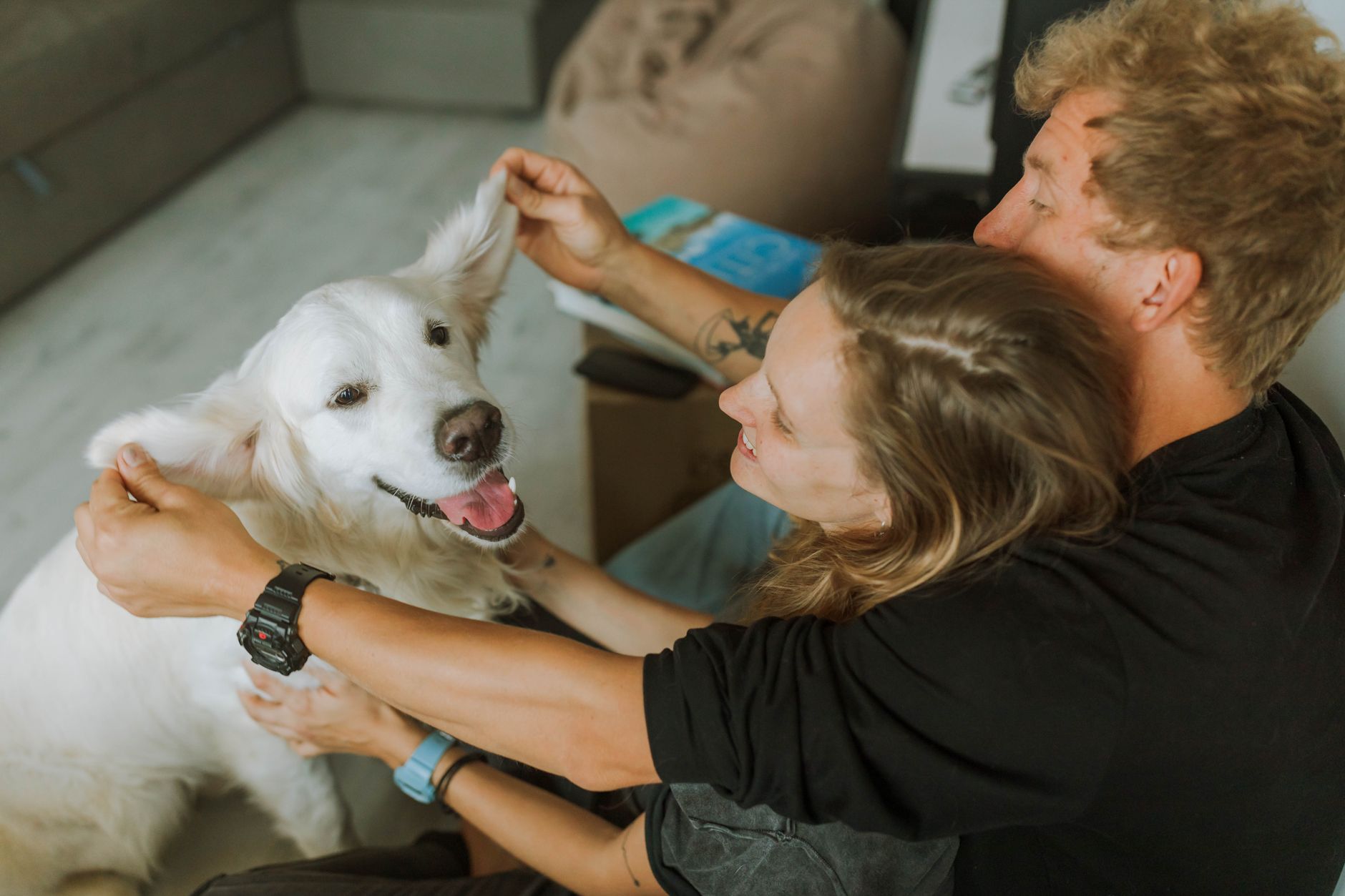 misc pet lifestyle photo