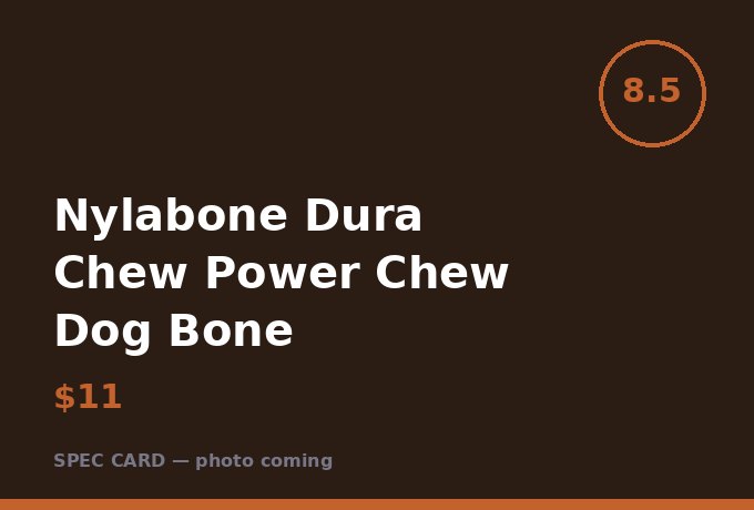 Nylabone Dura Chew Power Chew Dog Bone