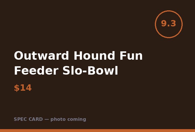 Outward Hound Fun Feeder Slo-Bowl