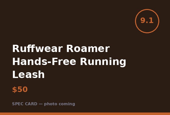 Ruffwear Roamer Hands-Free Running Leash